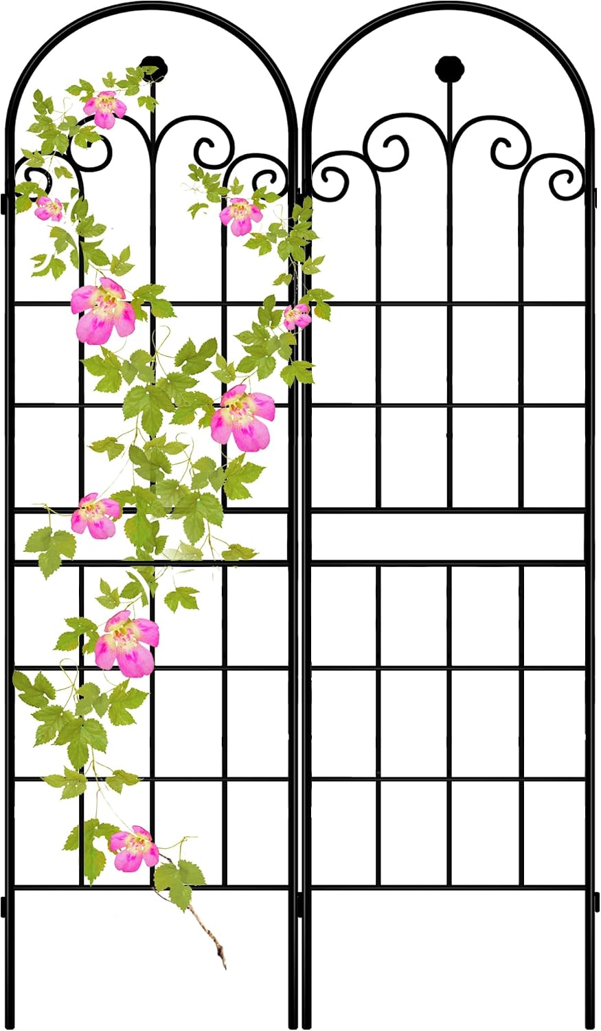 Iron Arch Weatherproof Plant Trellis
