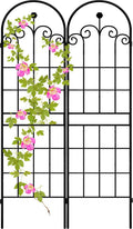 Iron Arch Weatherproof Plant Trellis