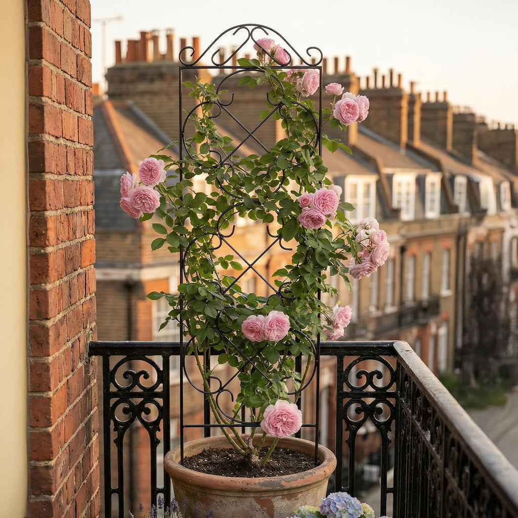 Metal Potted Plant Support Trellis