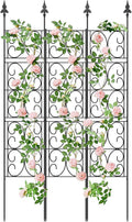 Wall Metal Privacy Plant Trellis
