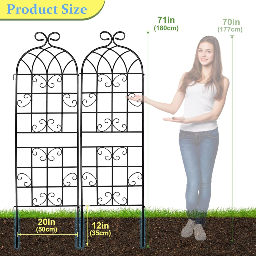 Iron Arch Climbing Plant Trellis