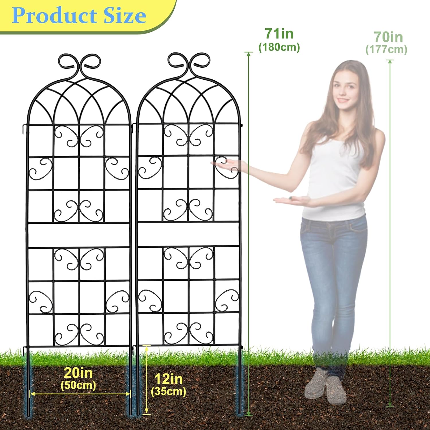 Iron Arch Climbing Plant Trellis