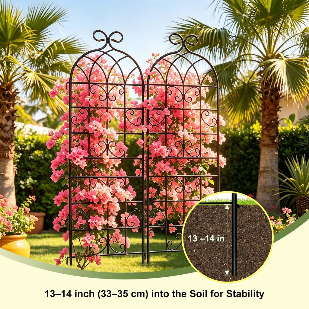 Iron Arch Climbing Plant Trellis