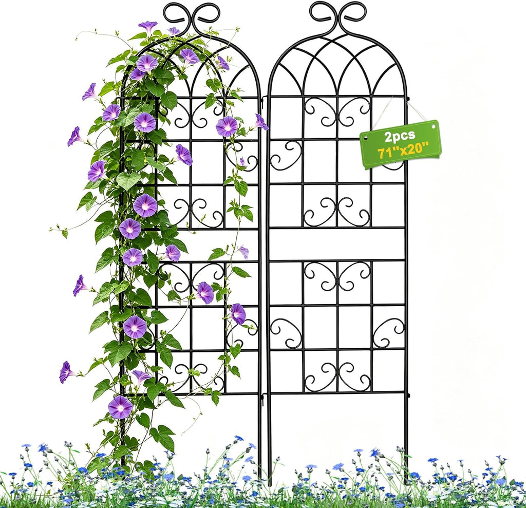 Iron Arch Climbing Plant Trellis