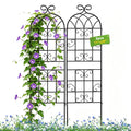 Iron Arch Climbing Plant Trellis