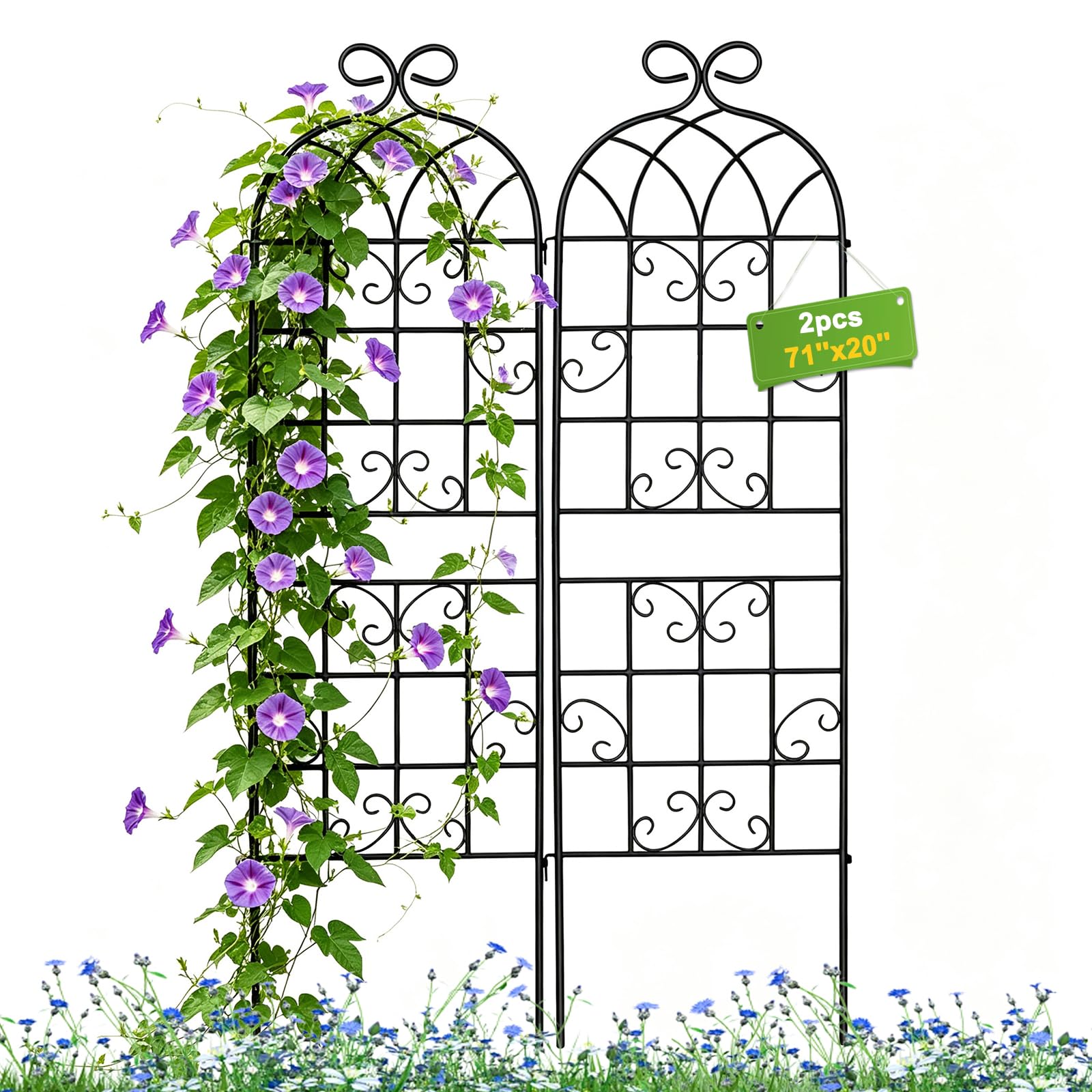 Iron Arch Climbing Plant Trellis