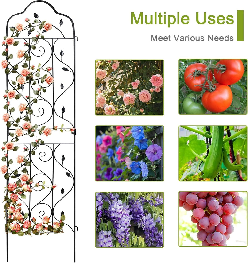 Expandable Metal Plant Trellis