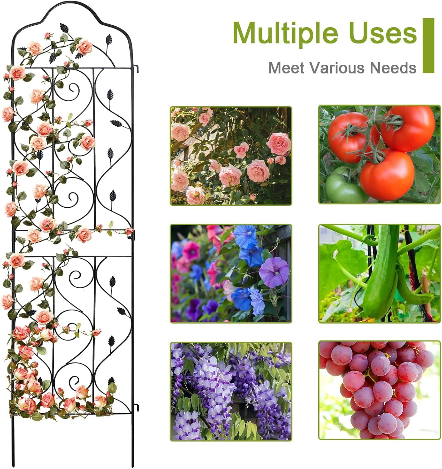 Expandable Metal Plant Trellis