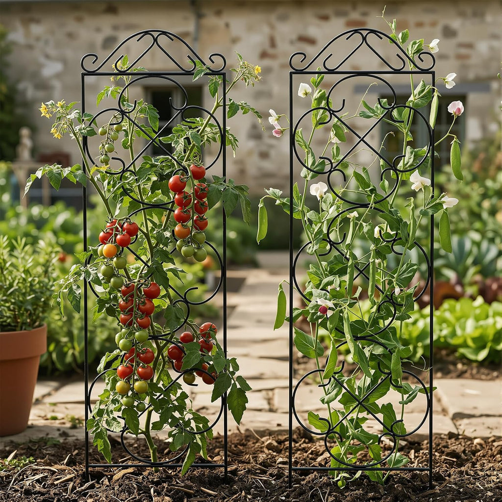 Metal Potted Plant Support Trellis