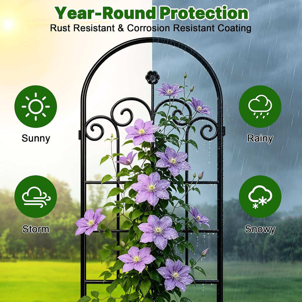 Iron Arch Weatherproof Plant Trellis