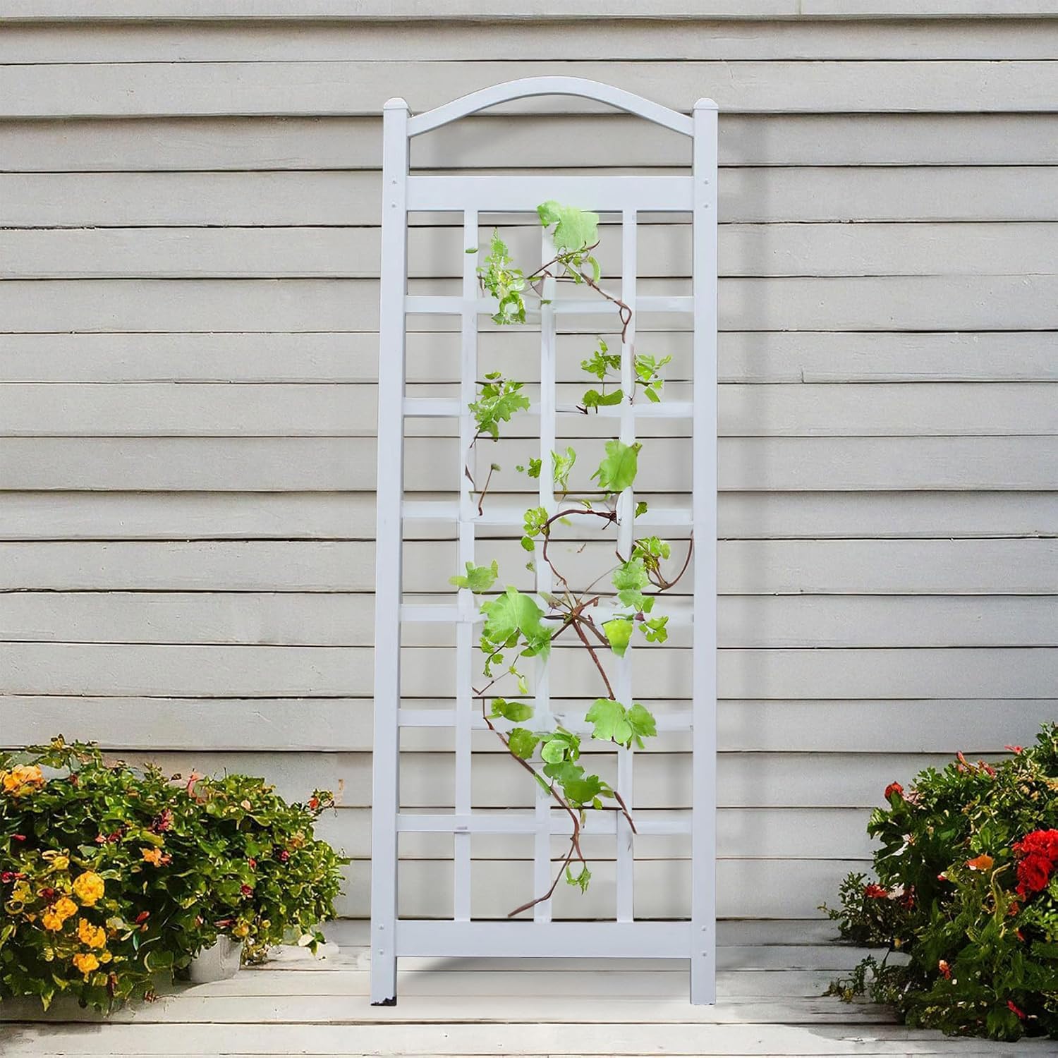 Wall Mount Vinyl Plant Trellis